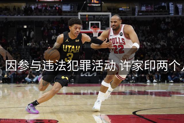 因参与违法犯罪活动 许家印两个儿子一审被判有期徒刑
